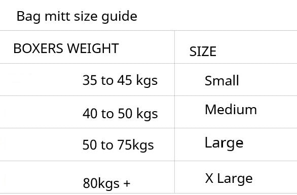 RINGSPORT BAG GLOVES NO LIMITS NYLEX