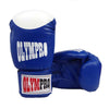 Competition Boxing Sparring glove